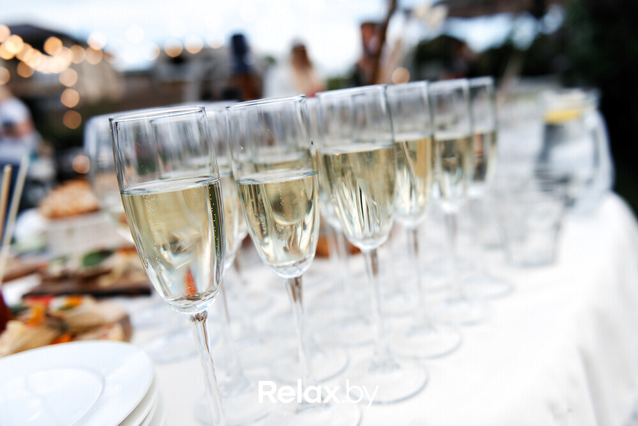 День рождения Светланы Зере, фото № 27