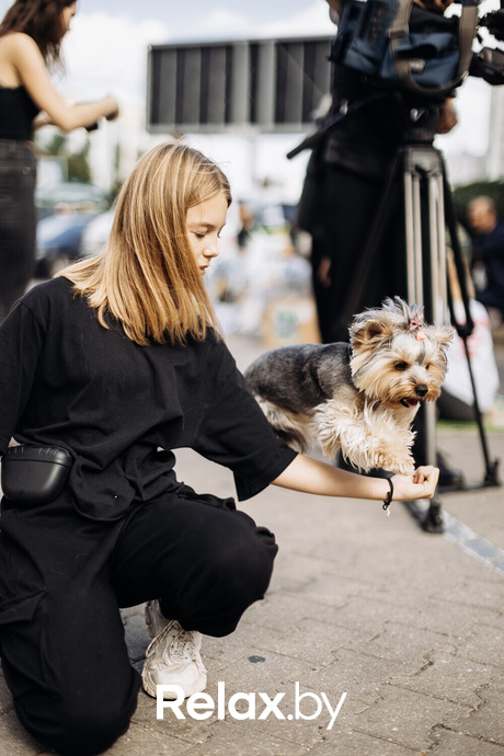 Акция Пушистого Добра, фото № 61