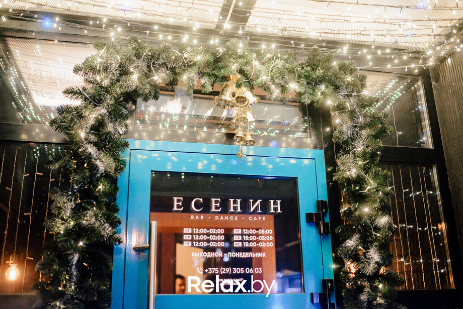 Ёлки 2022, фото № 6