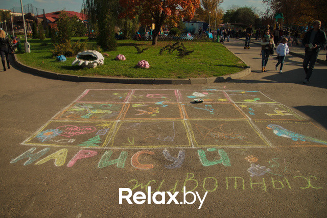 Акция ко Дню защиты животных, фото № 103