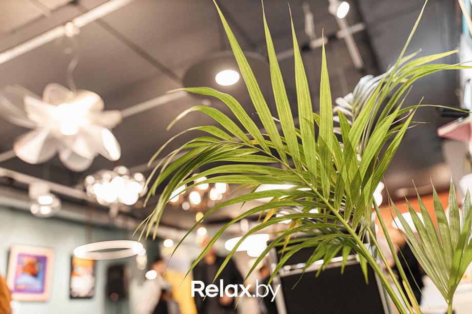 Открытие салона LUMINOSO и выставки Павла Омелюсика, фото № 77