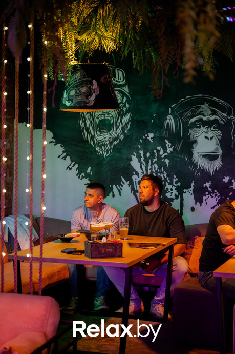 Monkey Brothers, фото № 21