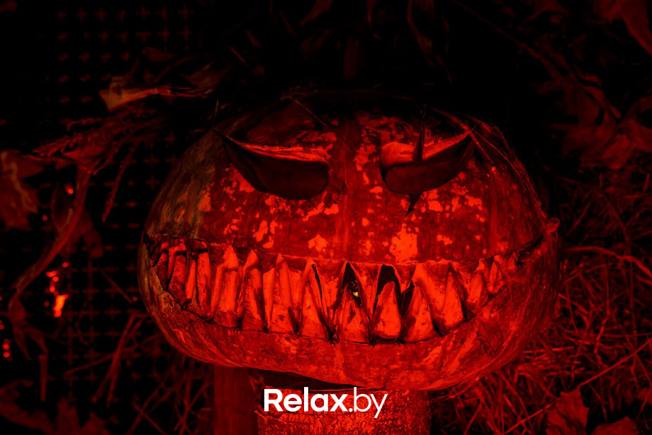 Halloween в Дровах, фото № 10