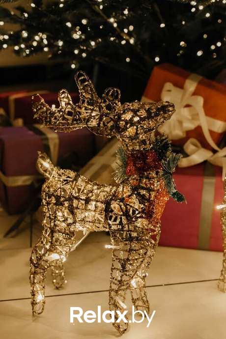 Ночные жители, фото № 52