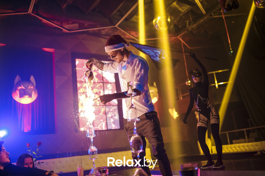 Euphoria Rich Cat, фото № 59