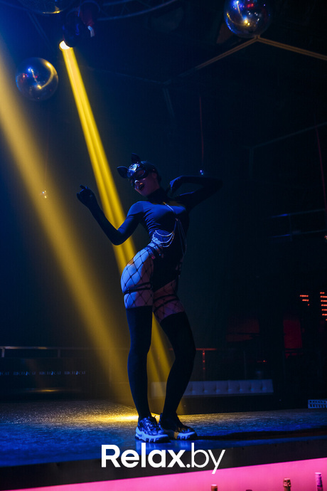 Euphoria Rich Cat, фото № 24