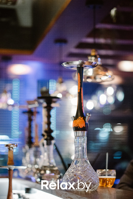 Выступление Анны Ничипоренко, фото № 28