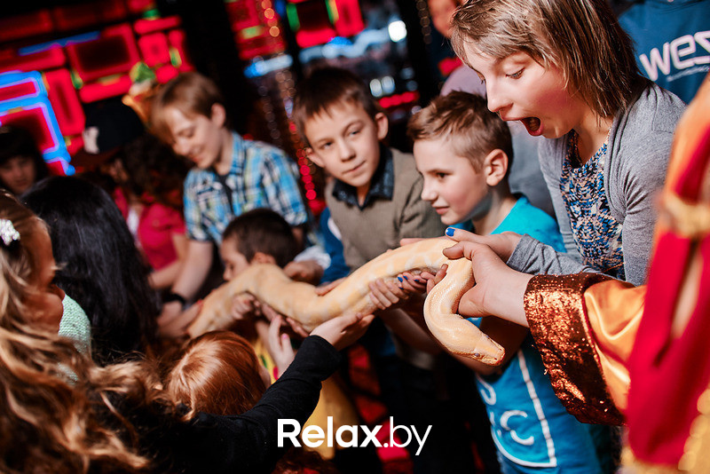 Junior Disco, фото № 173