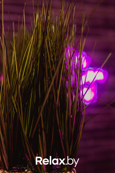 8 марта, фото № 42