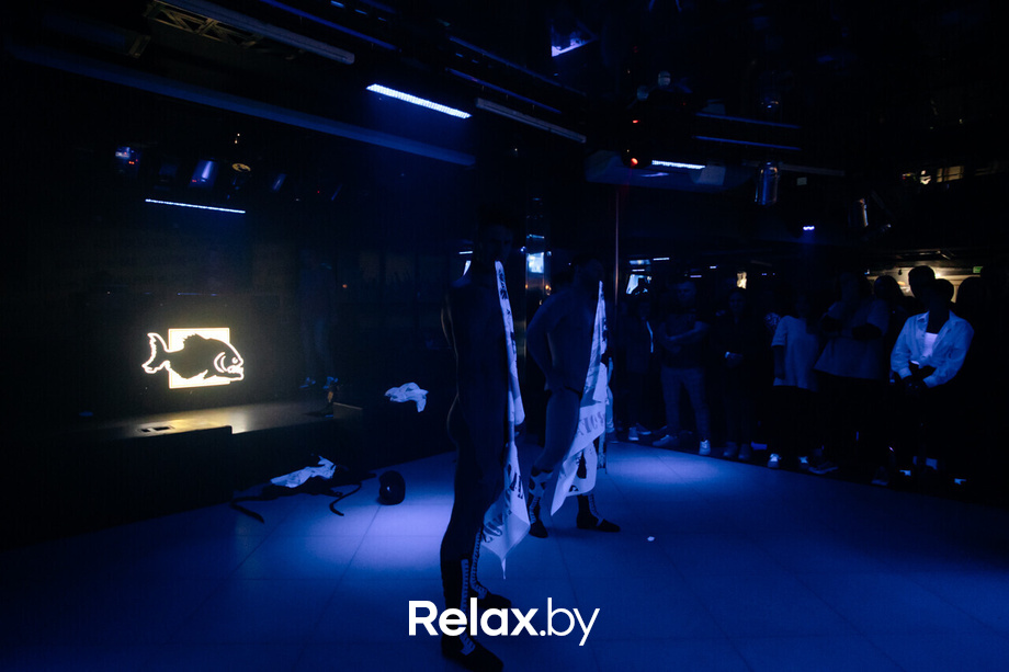 Шуфутинов день, фото № 11