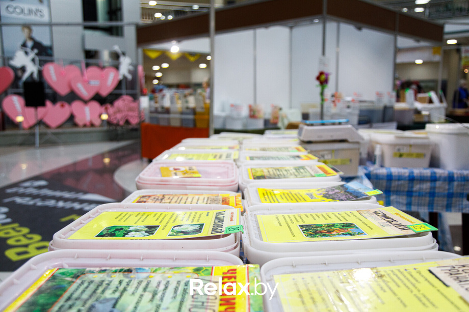 Ярмарка «Мир мёда и здоровья», фото № 5