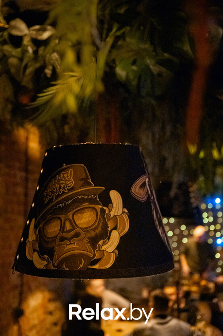 Monkey Brothers, фото № 23