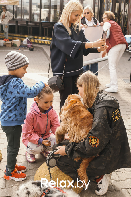 Акция Пушистого Добра, фото № 113