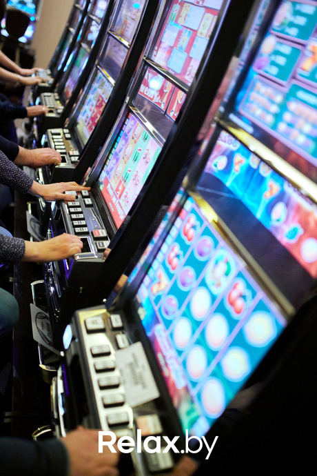 Пекинская капуста, фото № 47