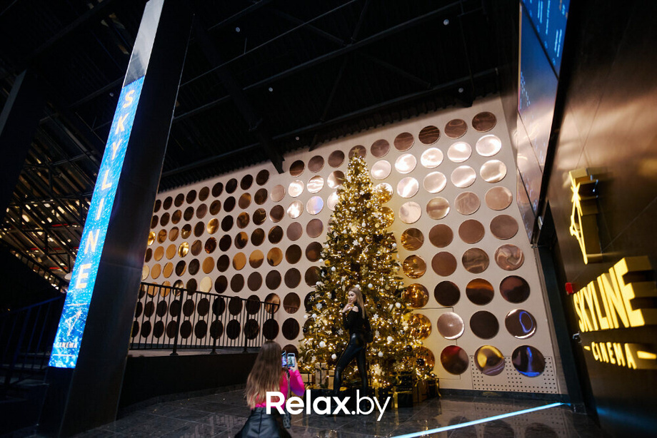 Открытие Skyline, фото № 12