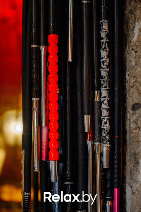 Live Music, фото № 30