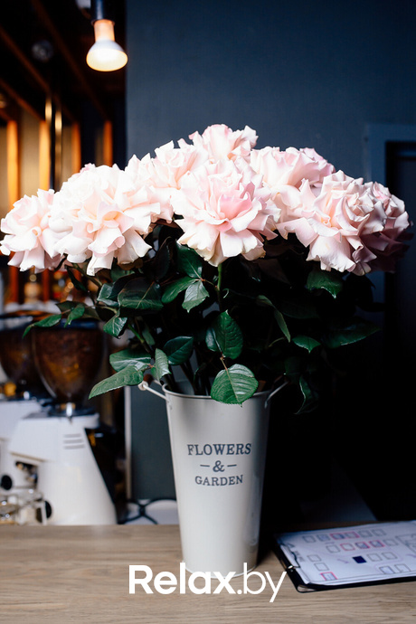 Ночные жители, фото № 1