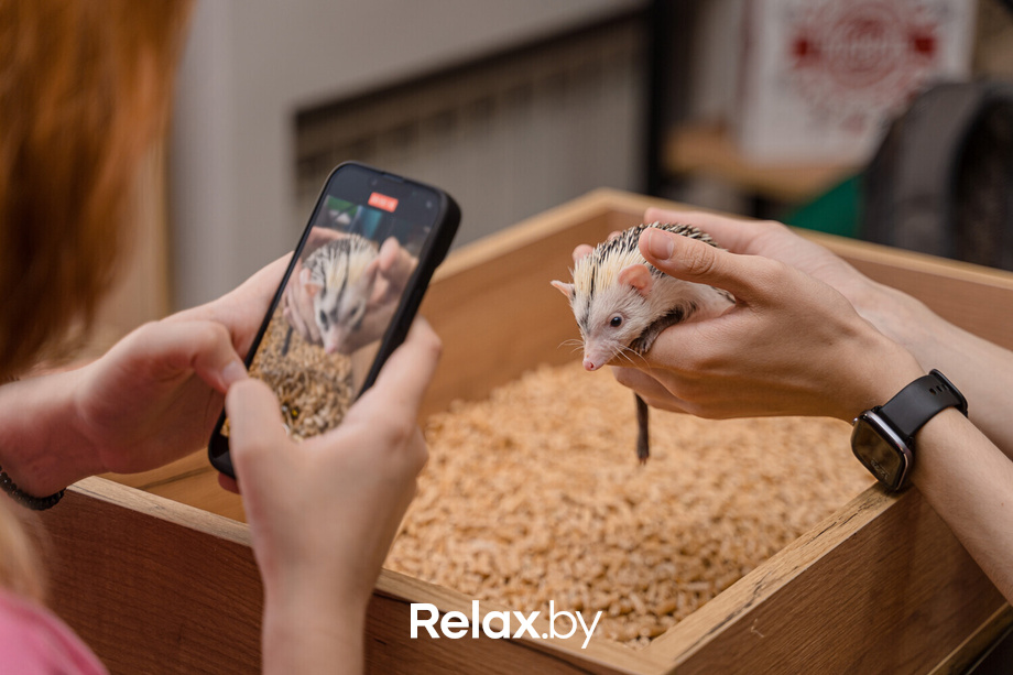 Открытие антикафе «Ёж кафе», фото № 30