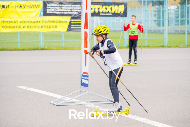 Золотая осень с Васильками, фото № 44