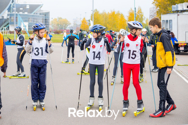 Золотая осень с Васильками, фото № 45