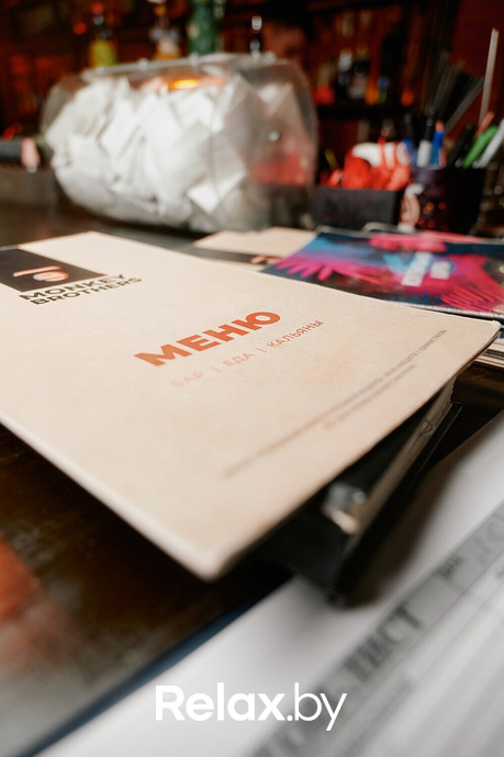 Monkey Brothers, фото № 16