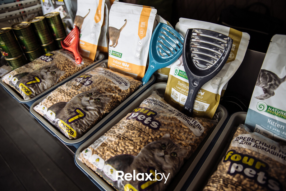 Благотворительная акция пушистого добра, фото № 2