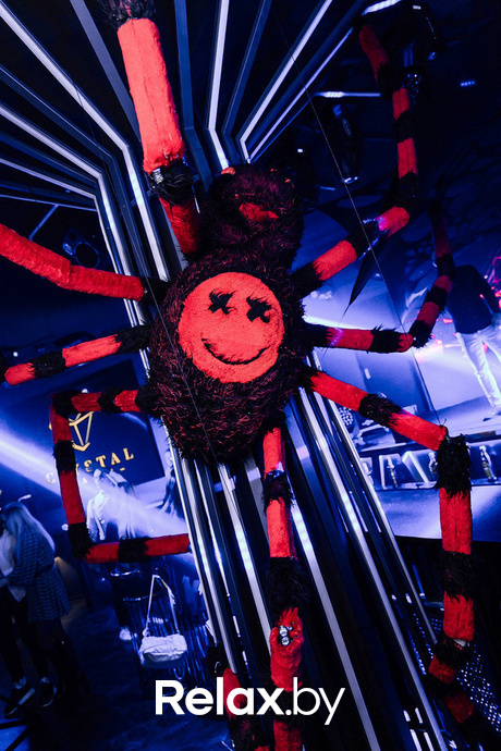 Паутина, фото № 9