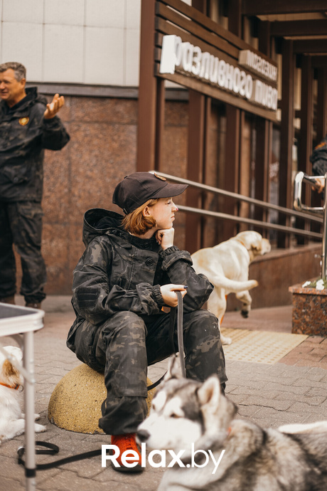 Акция Пушистого Добра, фото № 166