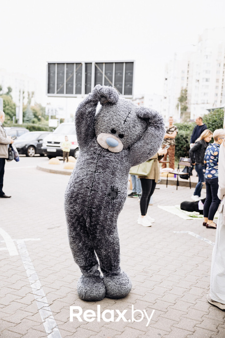 Акция Пушистого Добра, фото № 98