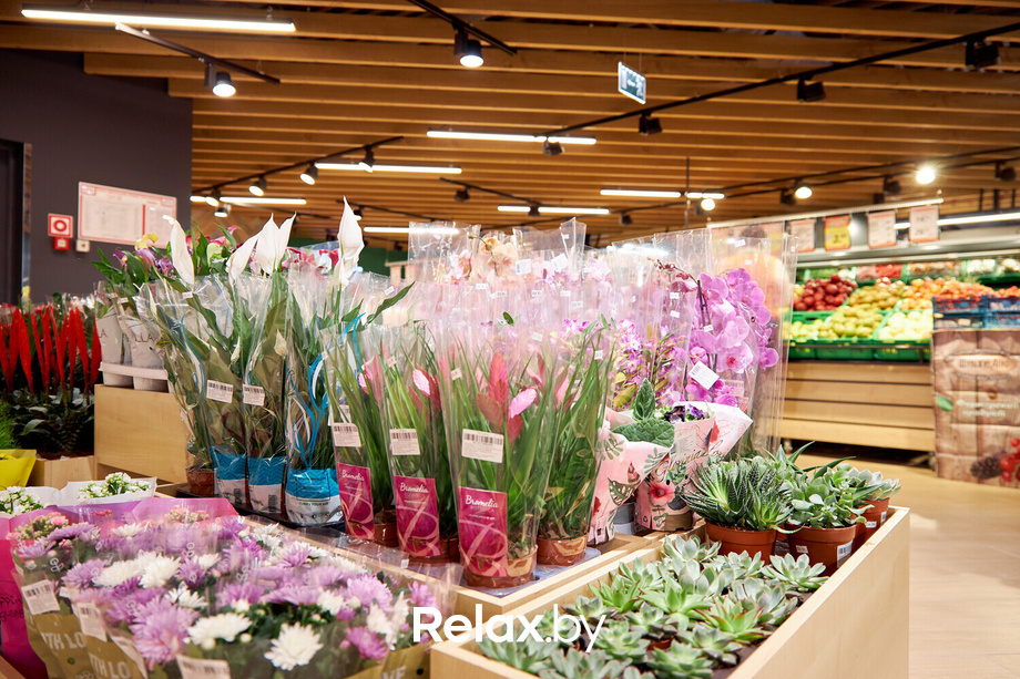 Открытие ГИППО, фото № 6