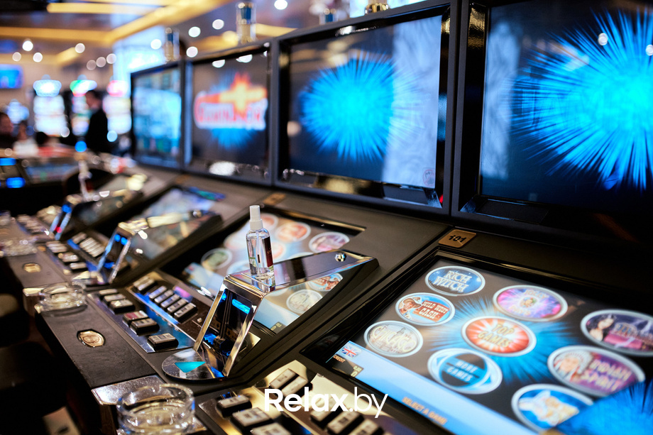 Пекинская капуста, фото № 8