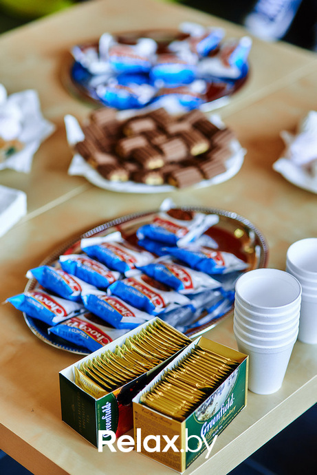 Чаепитие с Анной Хитрик по случаю предстоящего Дня семьи, фото № 32