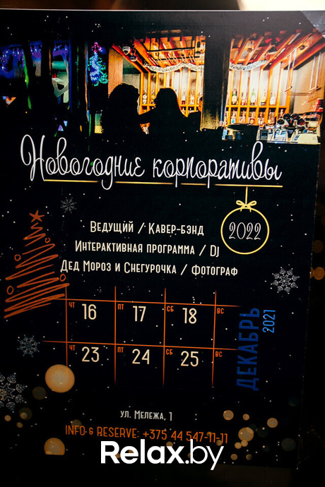 Новогодние вечера в Terra Club, фото № 32