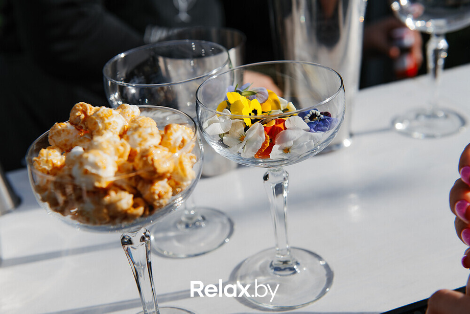 День рождения Светланы Зере, фото № 90