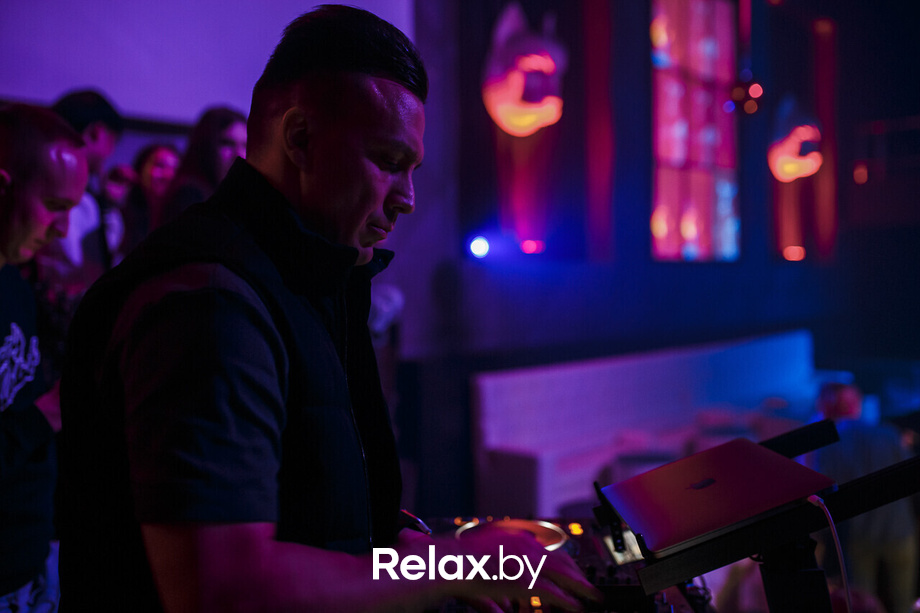 Euphoria Rich Cat, фото № 31