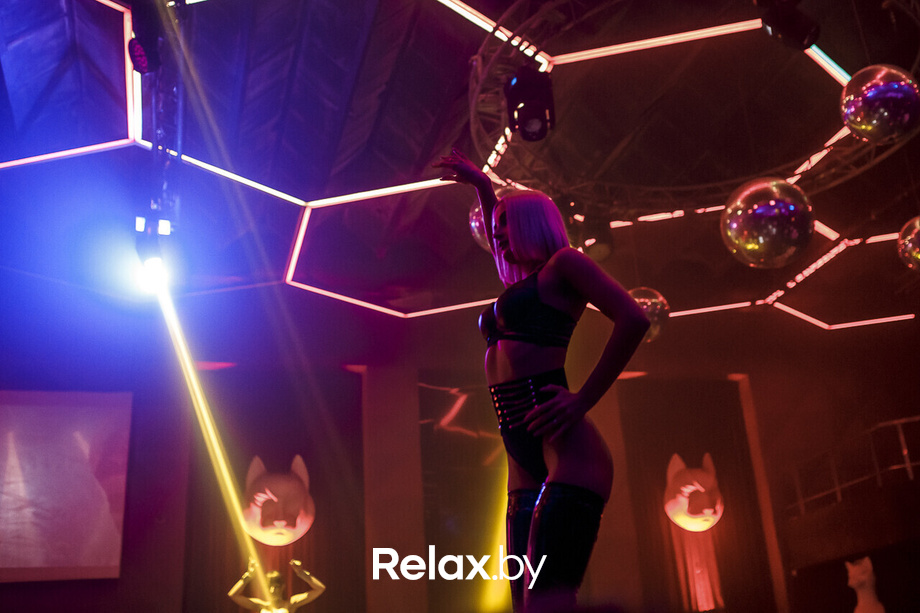 New Season in RICH CAT, фото № 3