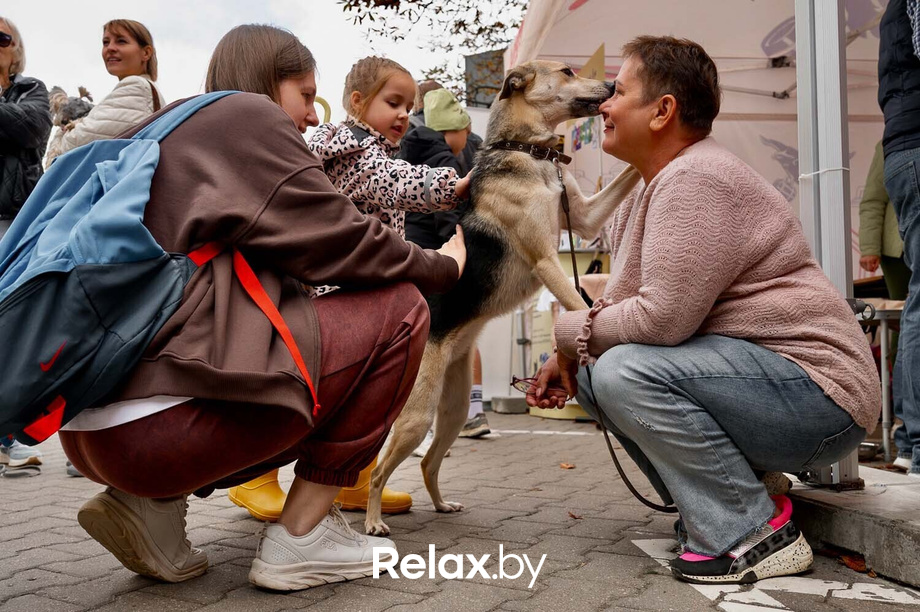 Акция пушистого добра, фото № 41