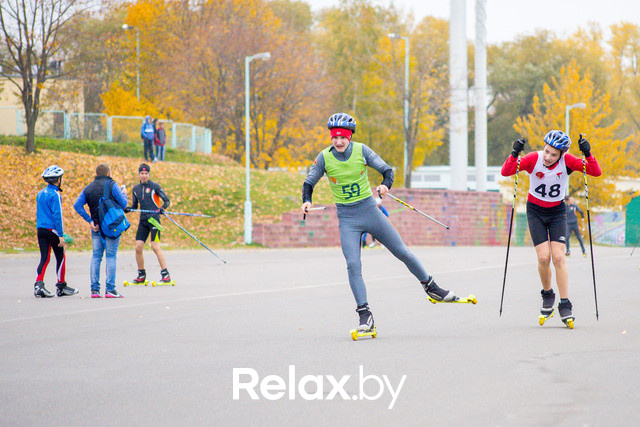 Золотая осень с Васильками, фото № 77