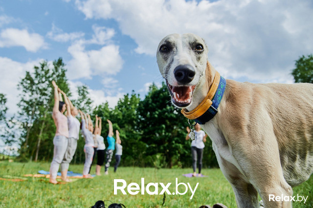 100 лучших фото за май, фото № 49