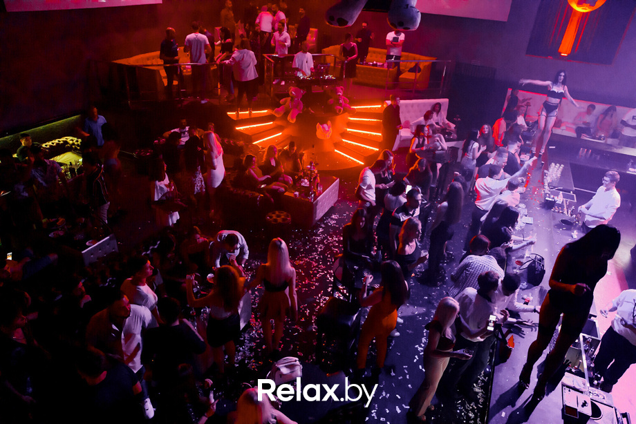 Rich Cat friday, фото № 45