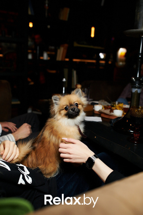 8 марта Hookah Place Stella, фото № 2