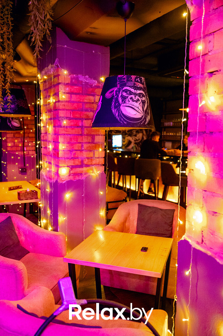 Monkey Brothers, фото № 54