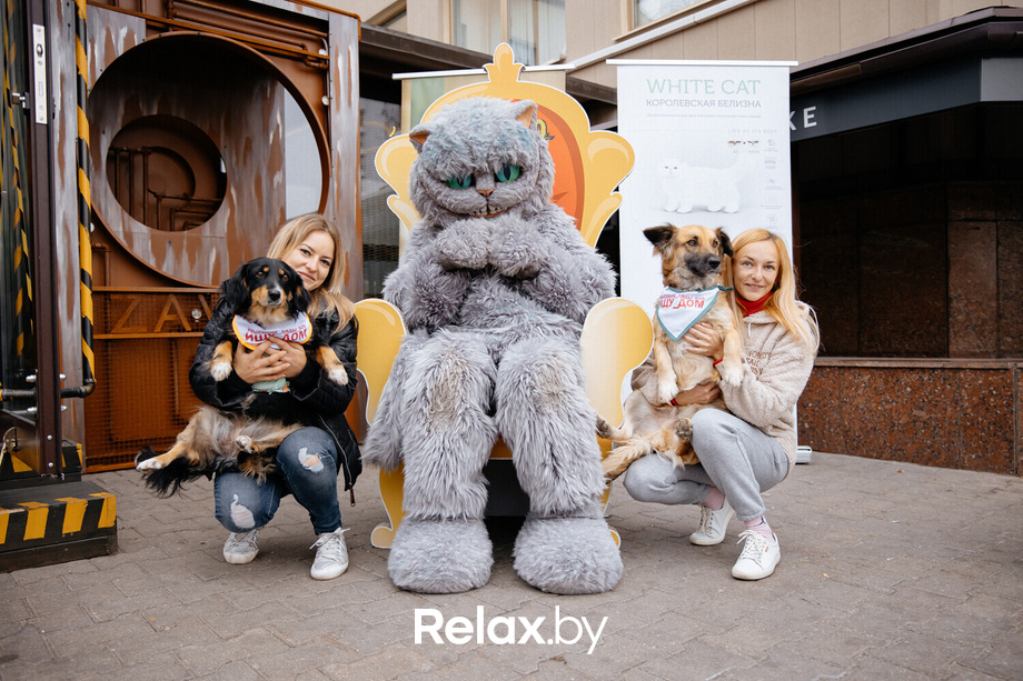 Благотворительная акция пушистого добра, фото № 139