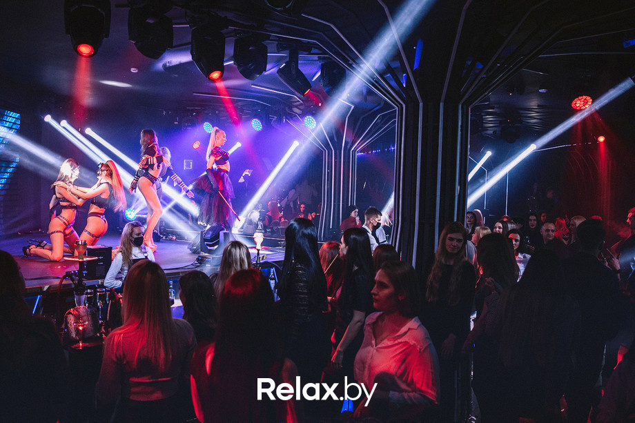 Birds show, фото № 78