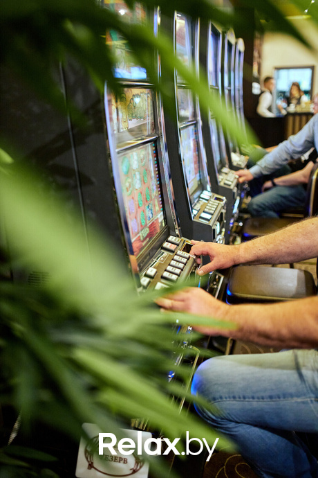 Пекинская капуста, фото № 43