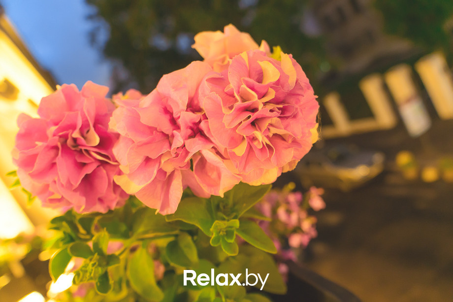 Живая гитара Dj set MAVR, фото № 26