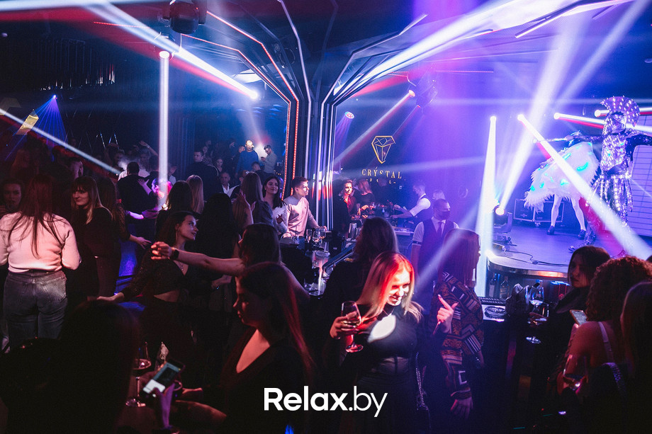 Birds show, фото № 60