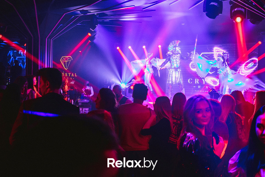 Birds show, фото № 57