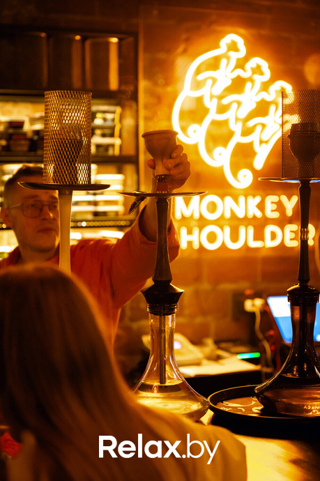 Monkey Brothers, фото № 58