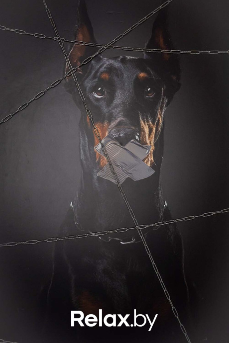 Parker House, фото № 16